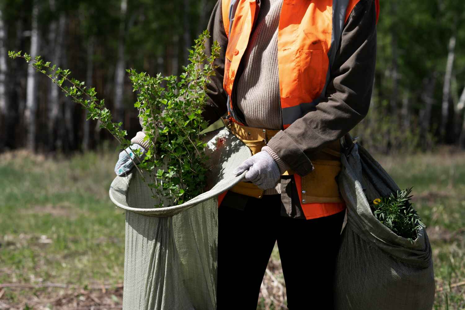 Best Tree Pruning Services  in Poplar Bluff, MO